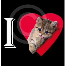 t-shirt femme chat love Design d'Oc