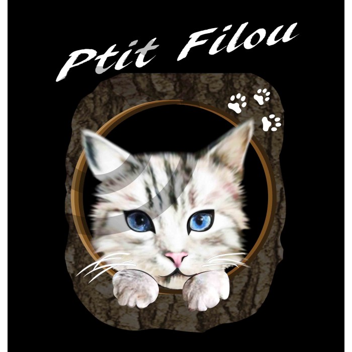 t-shirt chat filou Design d4oc